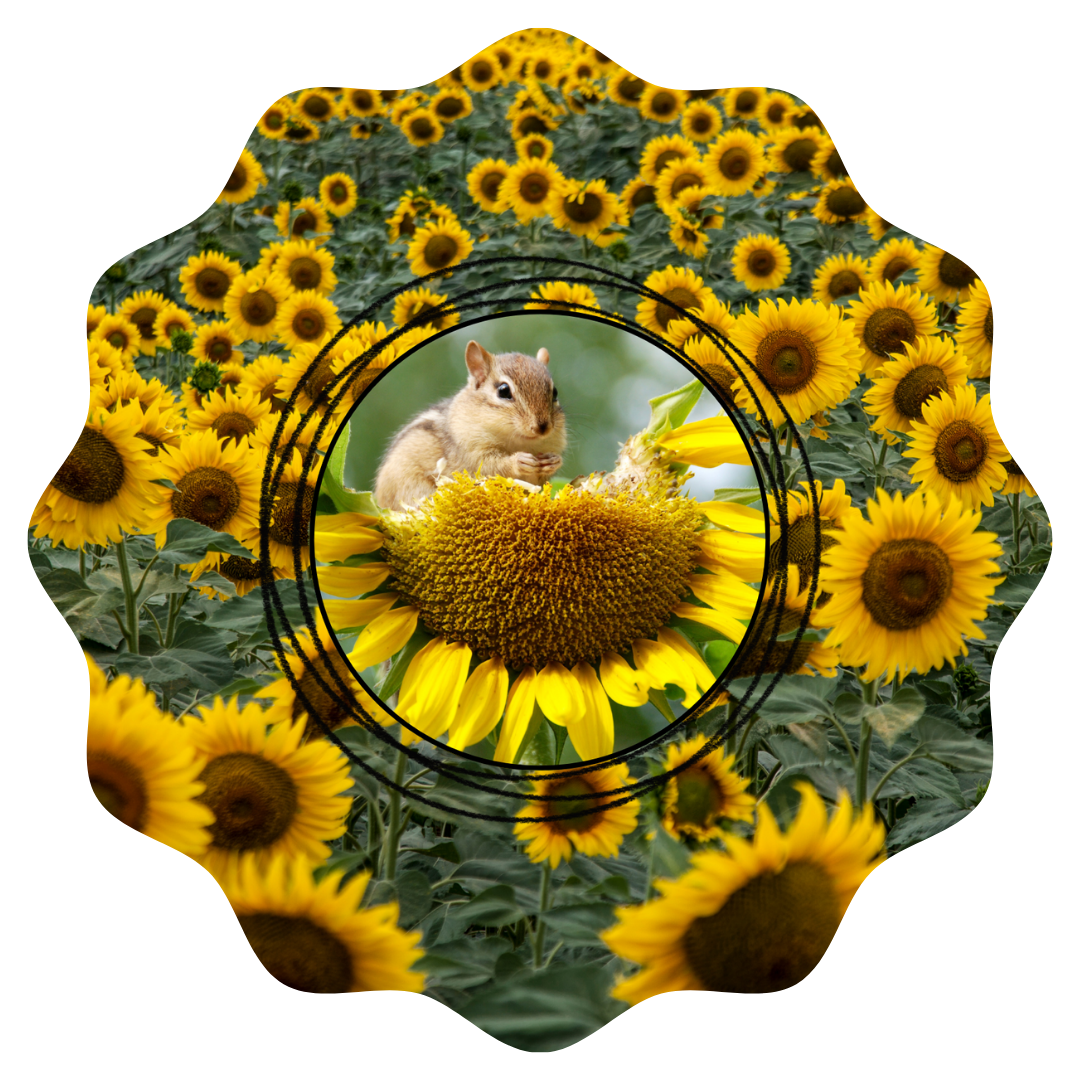 Customizable Spring Wind Spinner