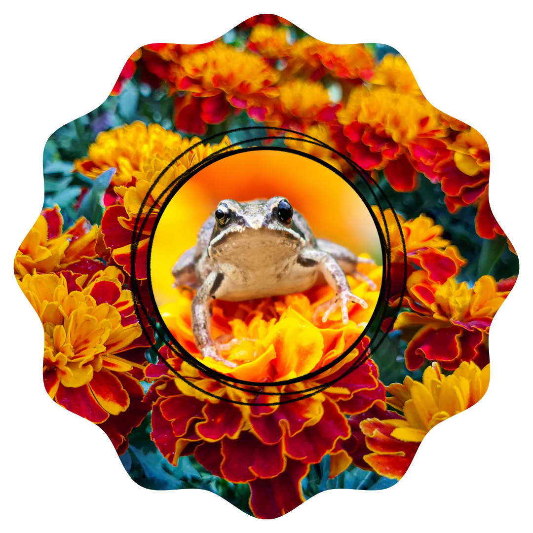 Customizable Spring Wind Spinner