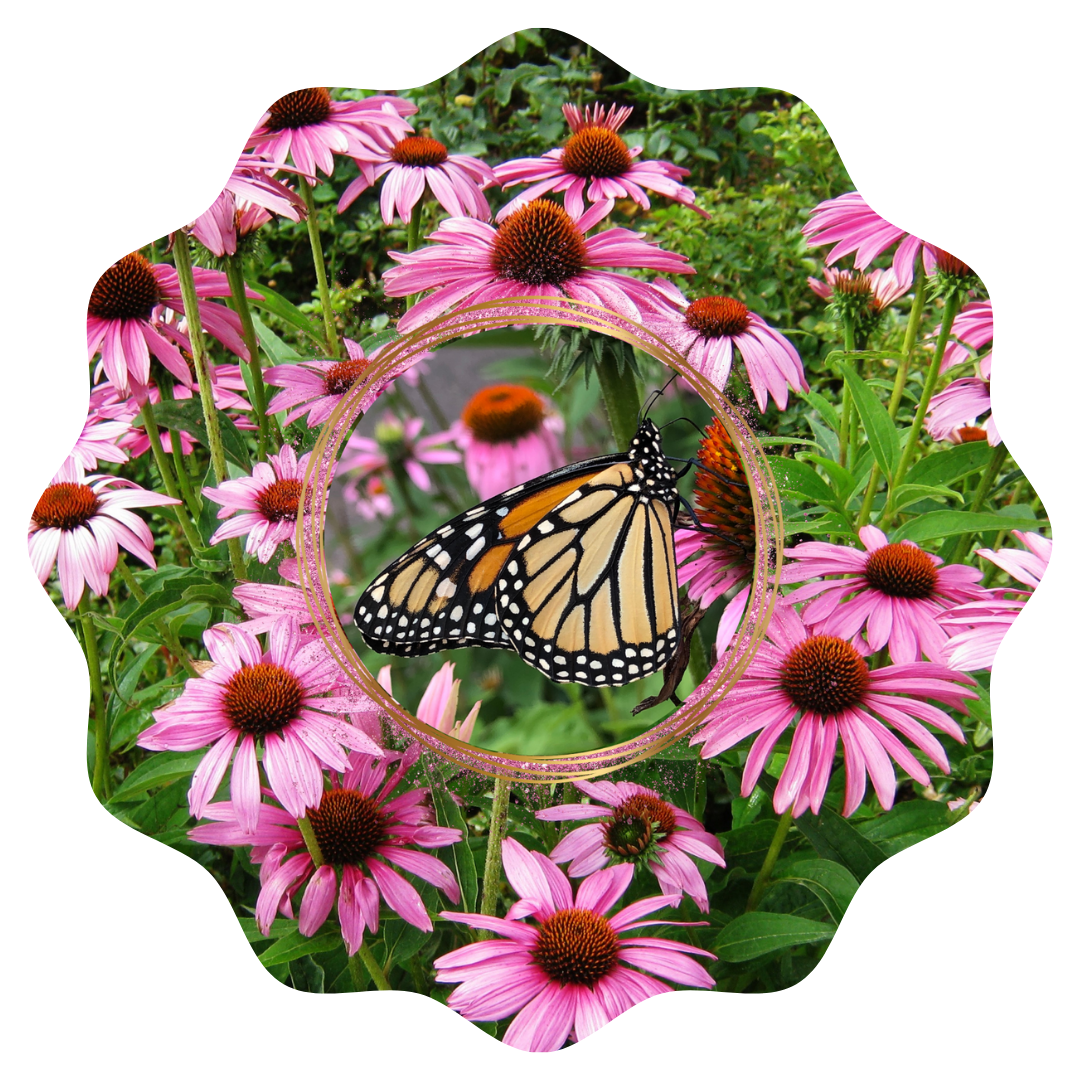 Customizable Spring Wind Spinner