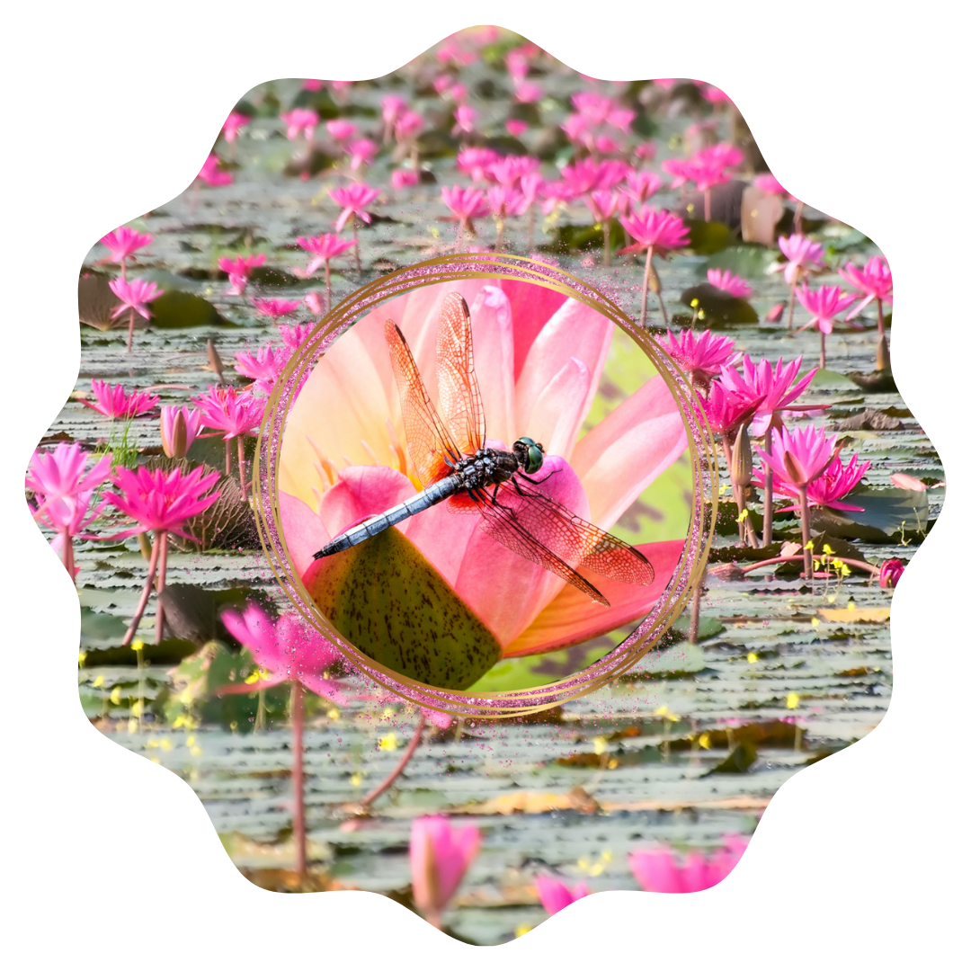 Customizable Spring Wind Spinner
