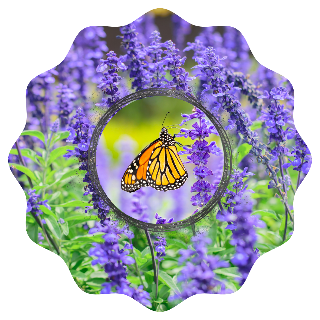 Customizable Spring Wind Spinner