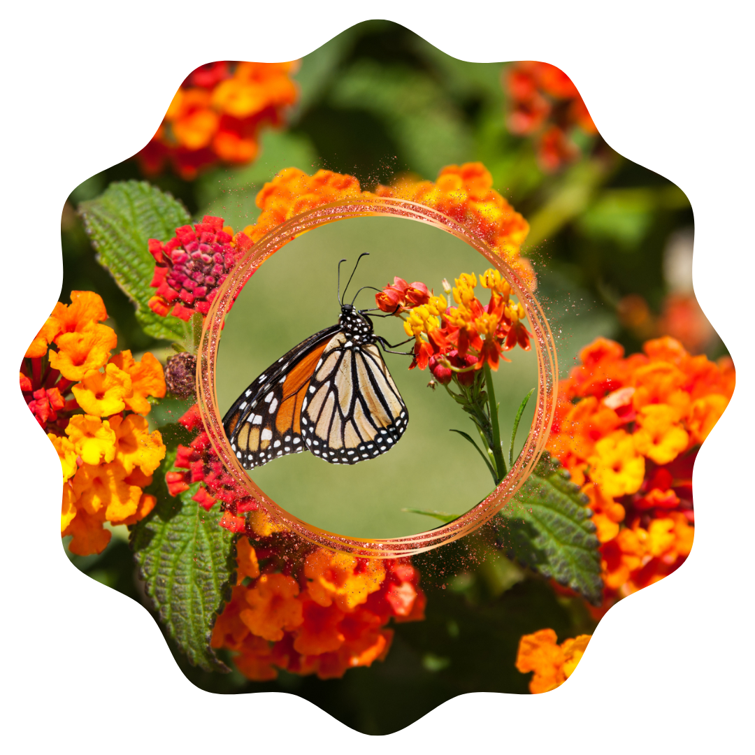 Customizable Spring Wind Spinner