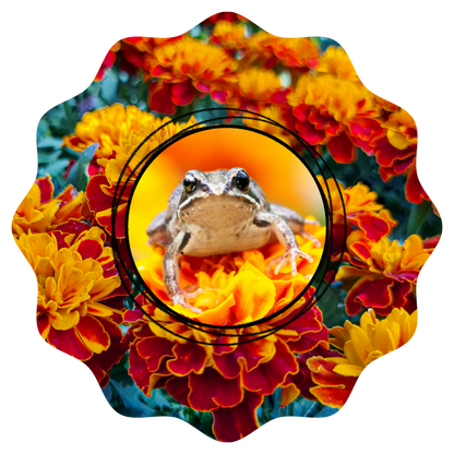 Customizable Spring Wind Spinner