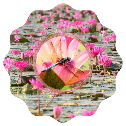 Customizable Spring Wind Spinner