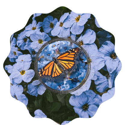 Customizable Spring Wind Spinner