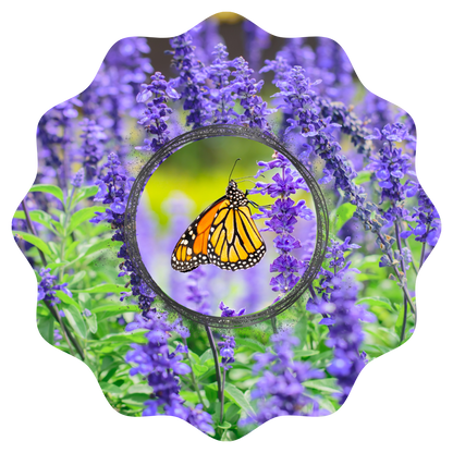 Customizable Spring Wind Spinner