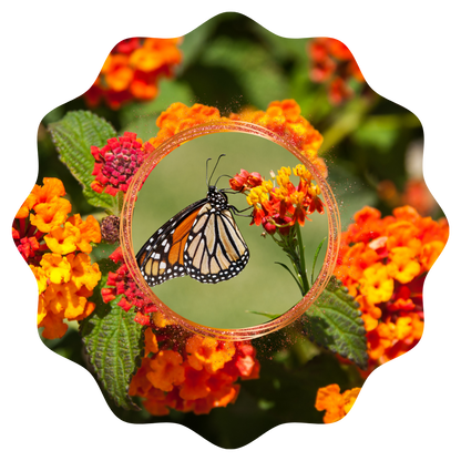 Customizable Spring Wind Spinner